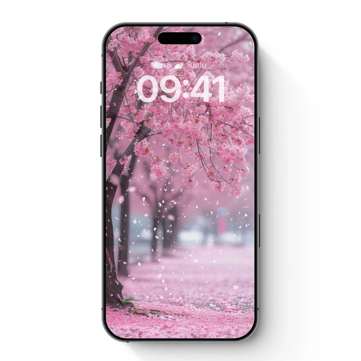 Cherry Blossom Symphony: A Pink Petal Paradise