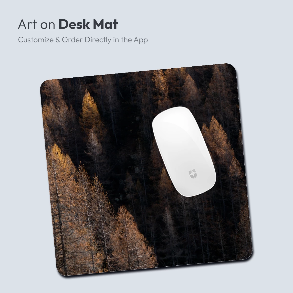 Golden Autumn Forest: A Symphony of Trees - Image 4