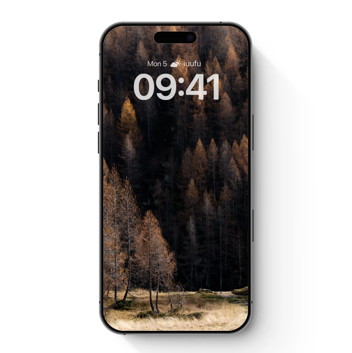 Golden Autumn Forest: A Symphony of Trees