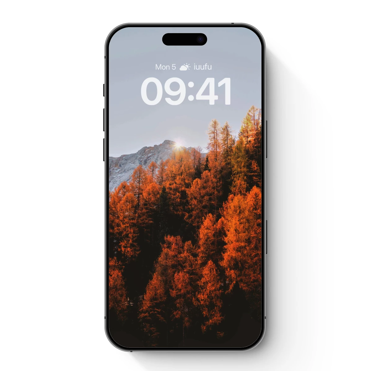 Autumnal Forest at Dawn