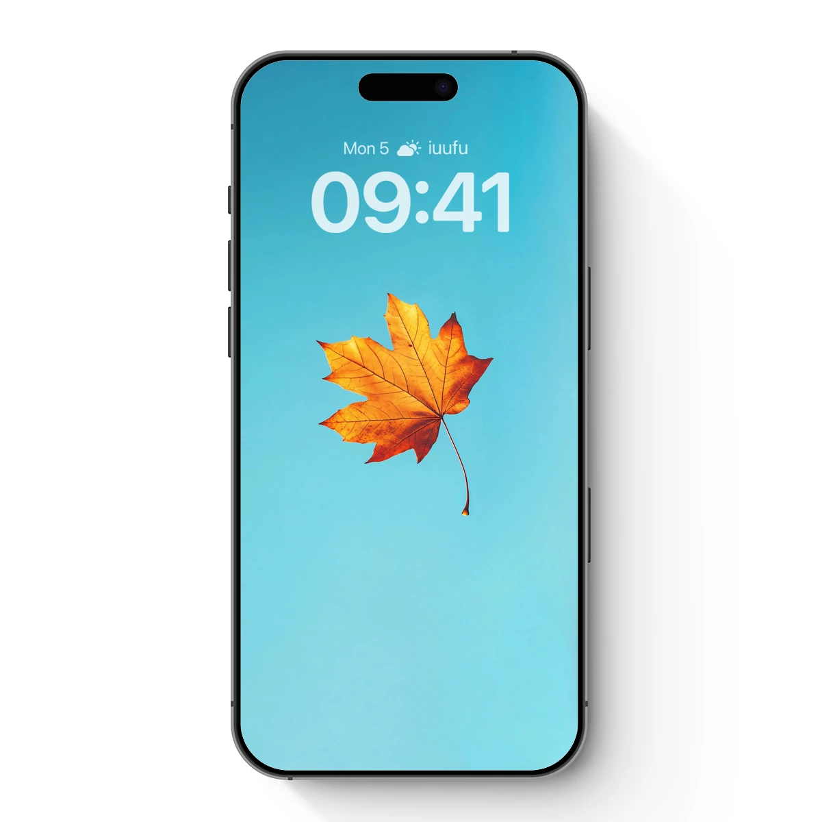 Autumn Leaf Against Azure Sky