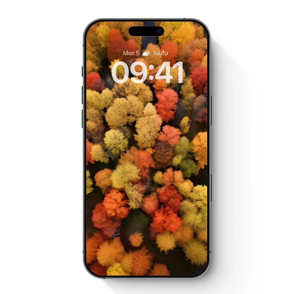 Autumn Canopy Symphony