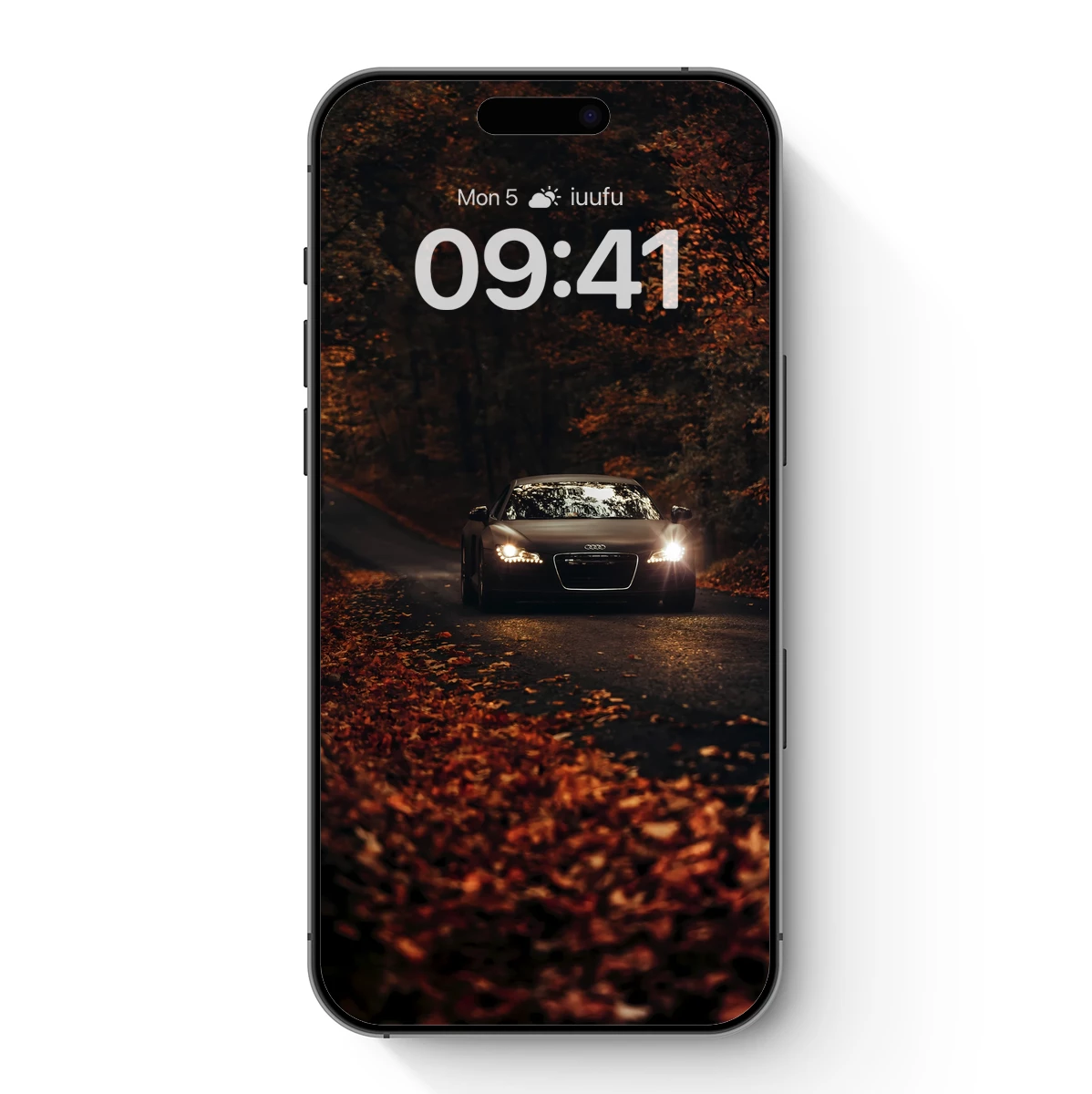 Autumn Drive: Illuminated Pathway