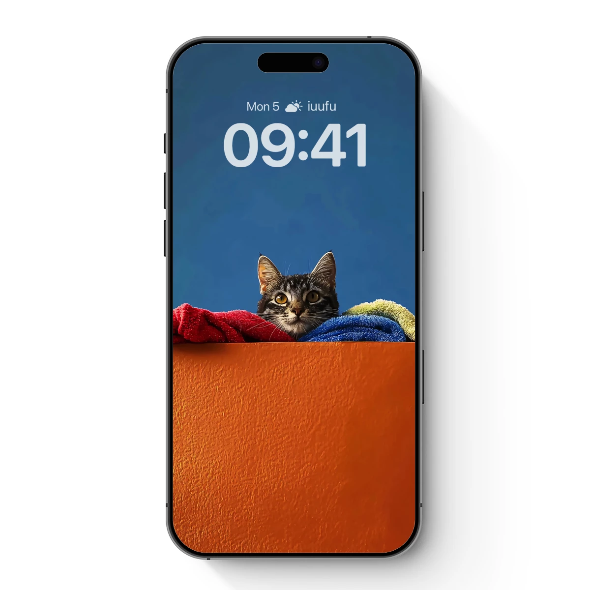 Curious Kitten in Vibrant Hideaway