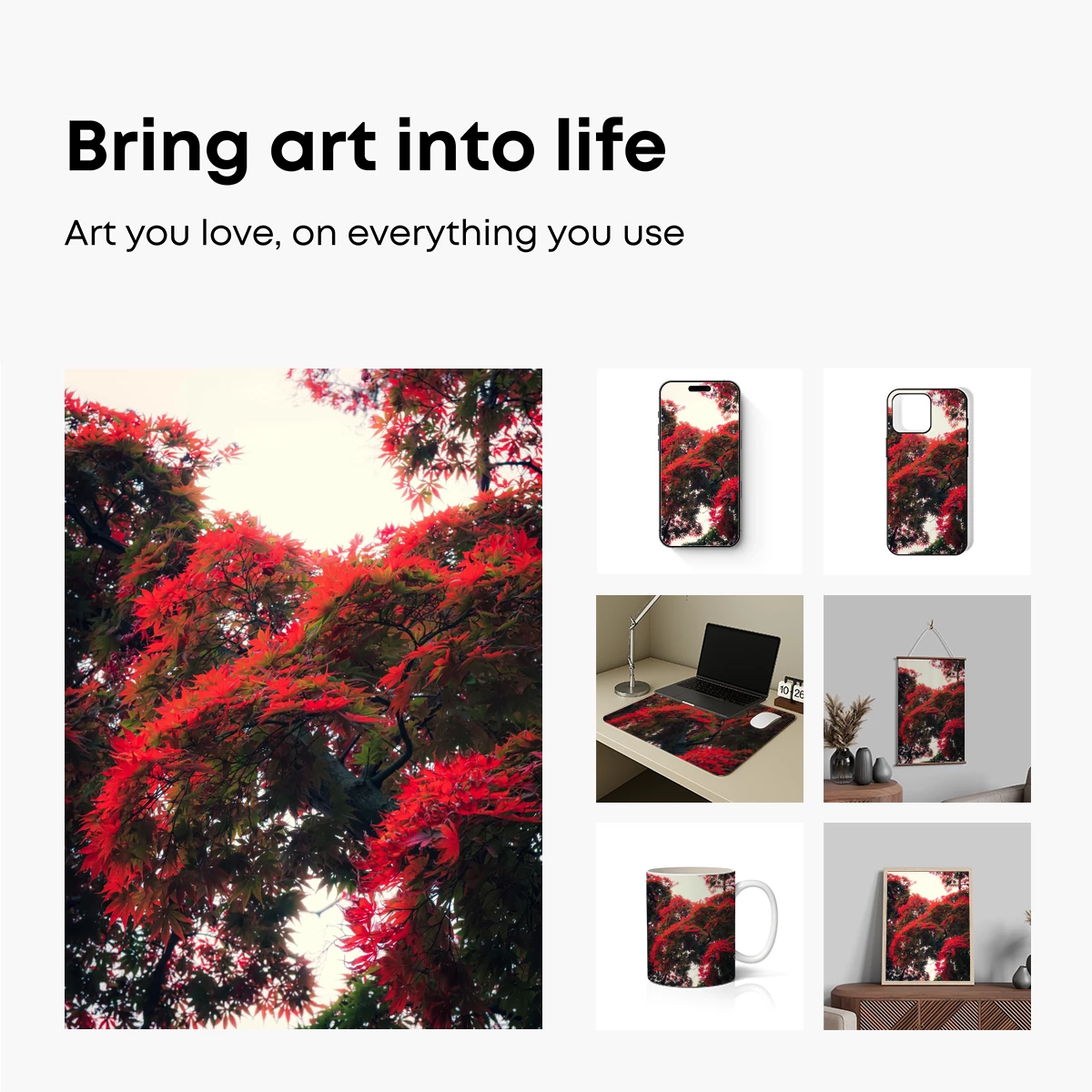 Autumn Blaze: Crimson Leaves Against the Sky - Image 2