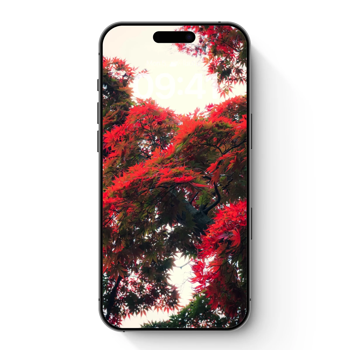 Autumn Blaze: Crimson Leaves Against the Sky