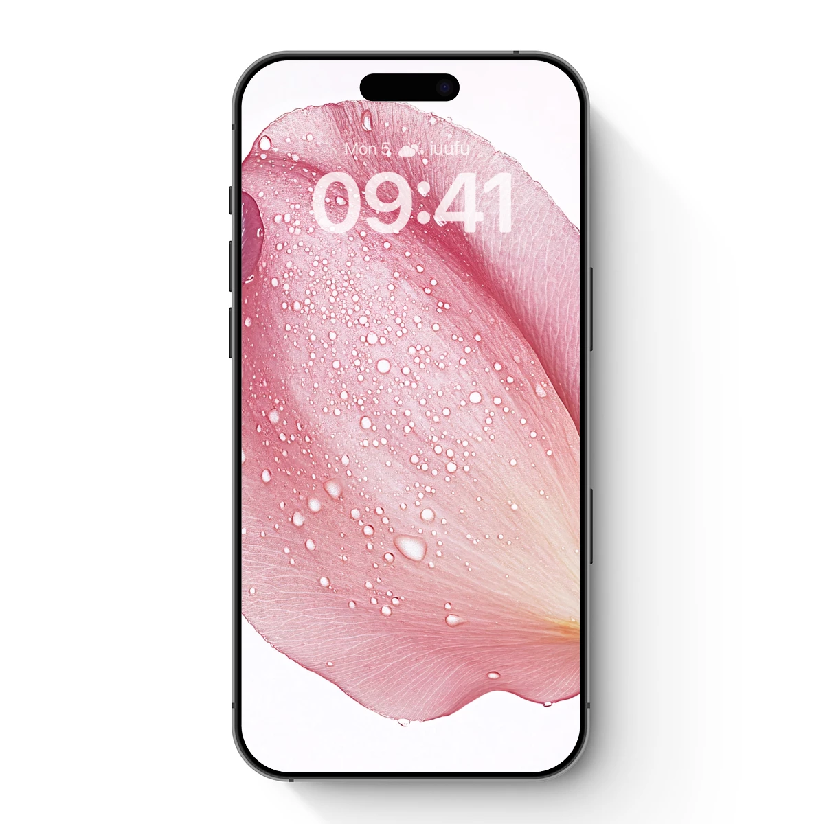 Dew-Kissed Petal: Soft Pink Elegance