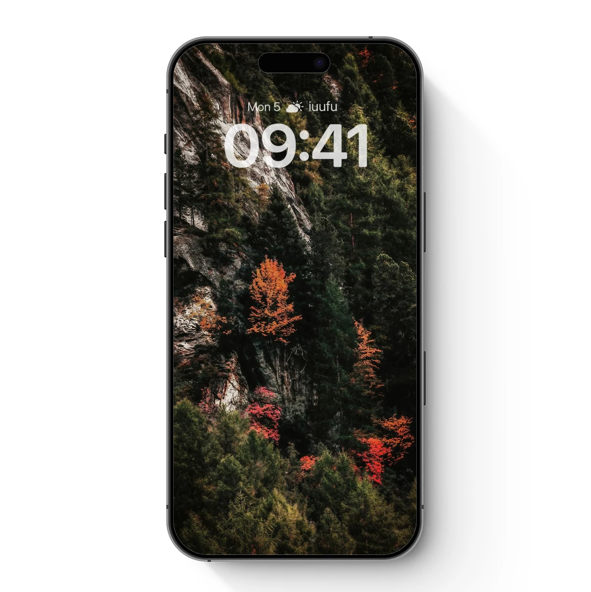 Autumn Blaze Amidst Evergreens