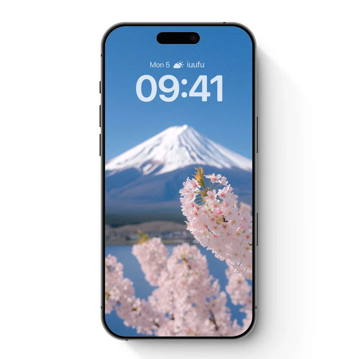 Fuji's Grace: Cherry Blossoms in Bloom