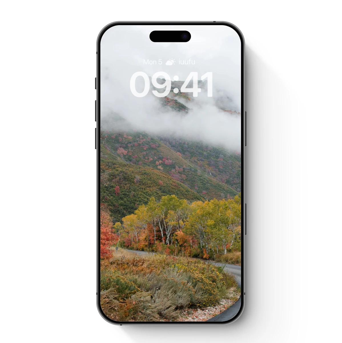 Autumn Mist Over Winding Road