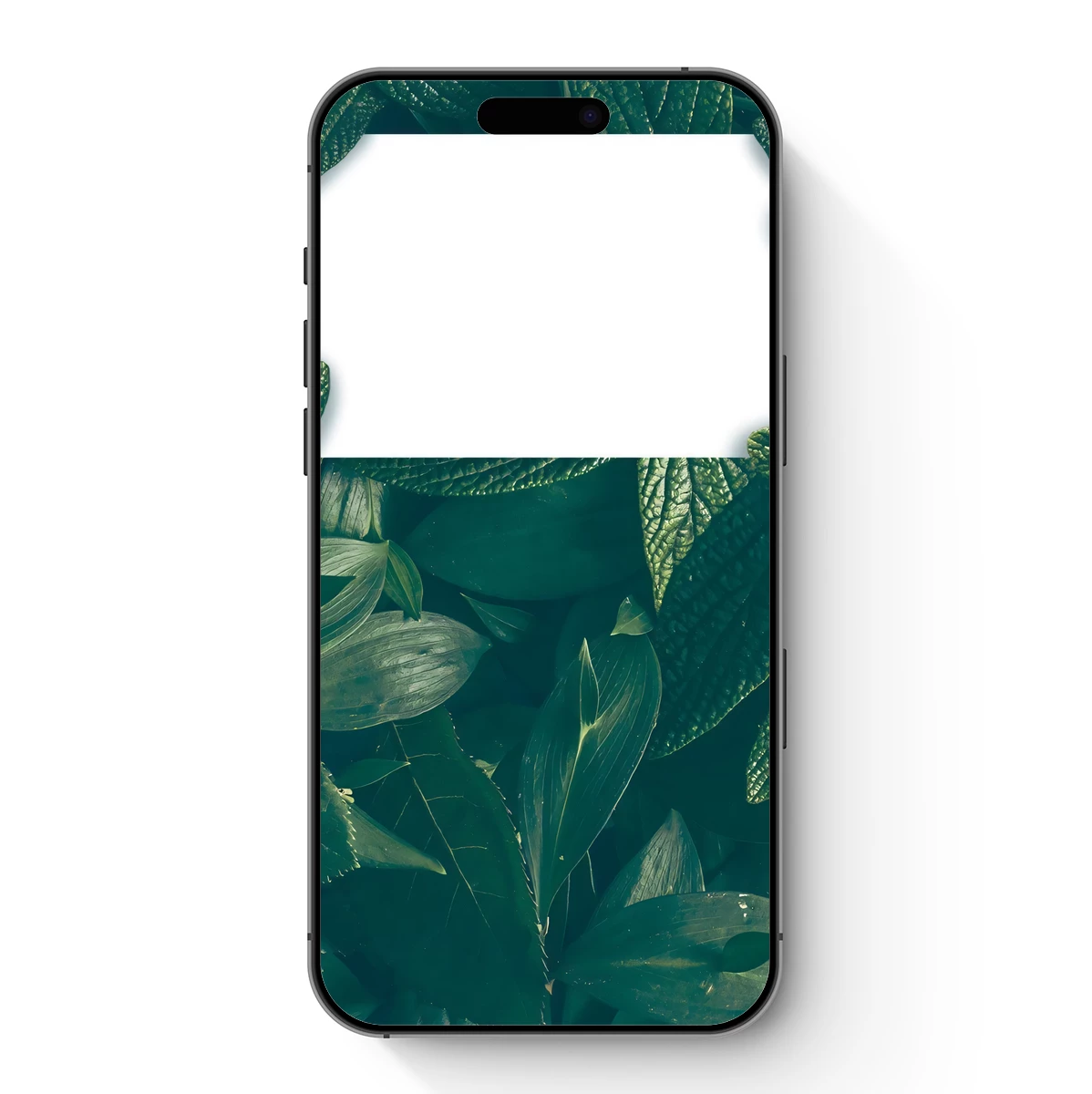 Leafy Embrace: Nature’s Blank Canvas Leafy Embrace: Nature's Blank Canvas