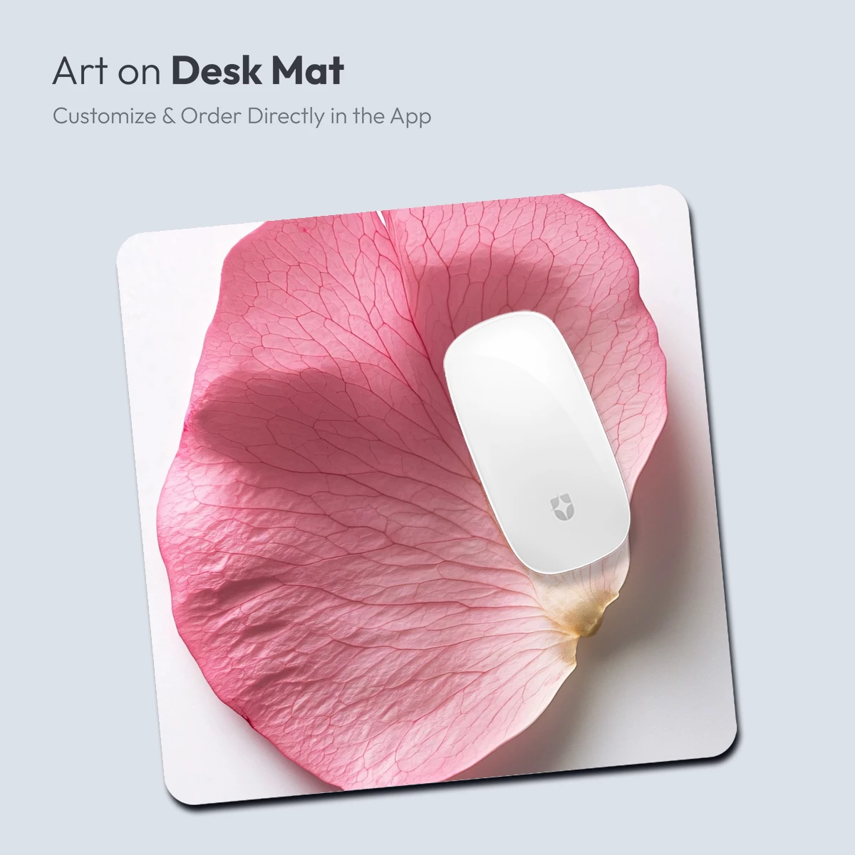 Delicate Veins of a Pink Petal - Image 3