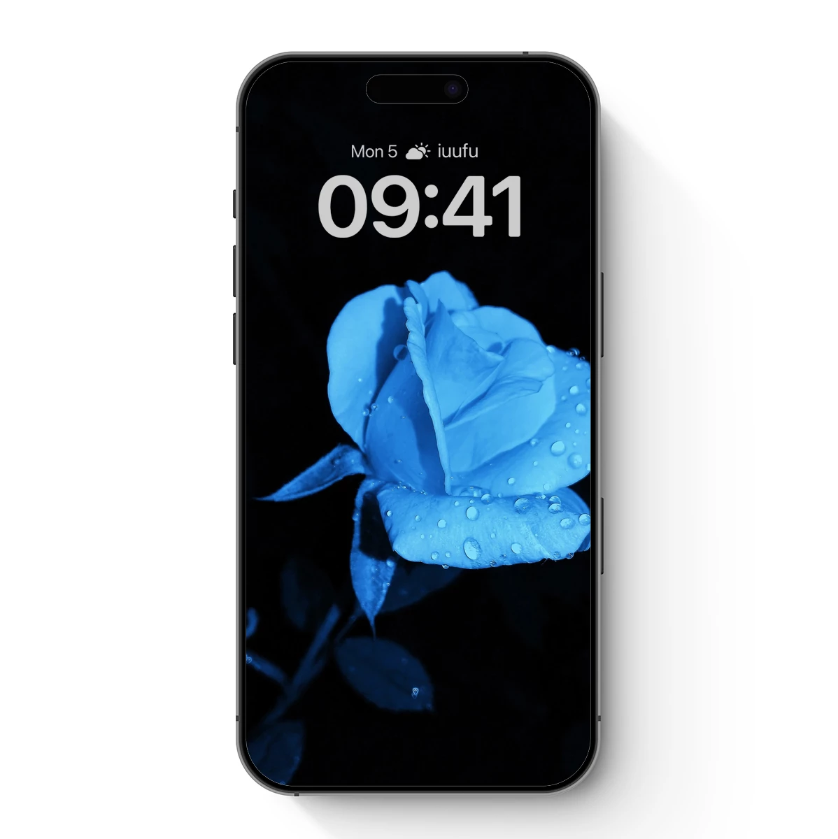 Ethereal Midnight Rose: Dew-Kissed Bloom in Blue - Image 7