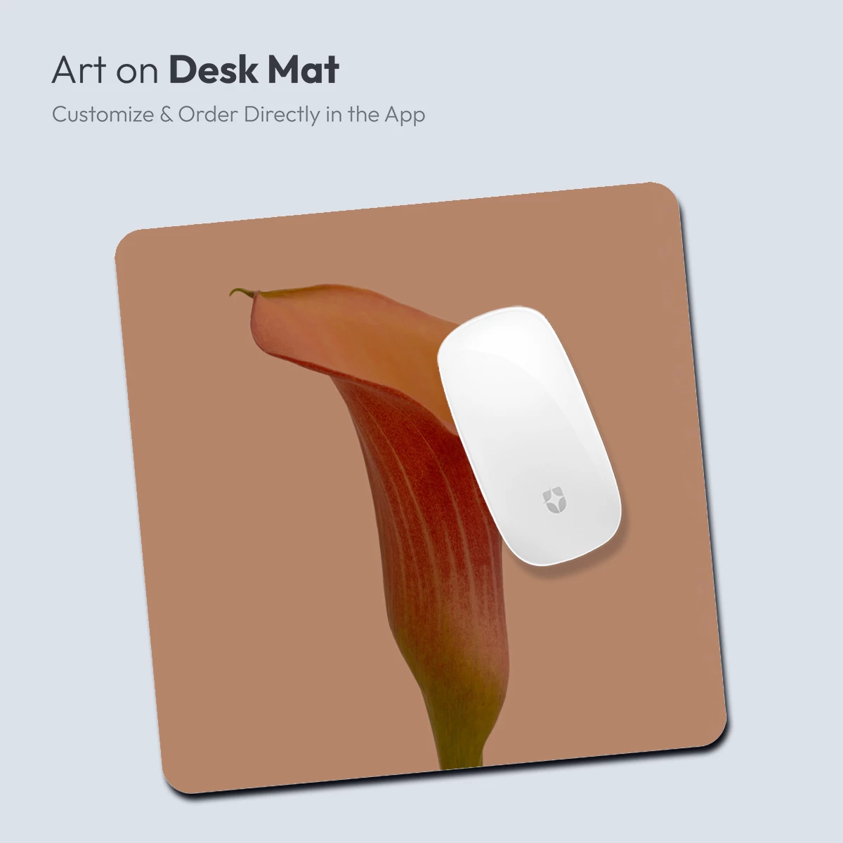 Elegant Calla Lily in Warm Tones - Image 3