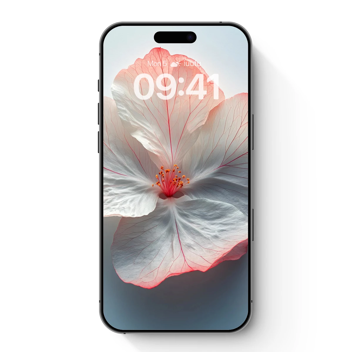 Ethereal Hibiscus Bloom: Delicate Petals in Pastel Harmony