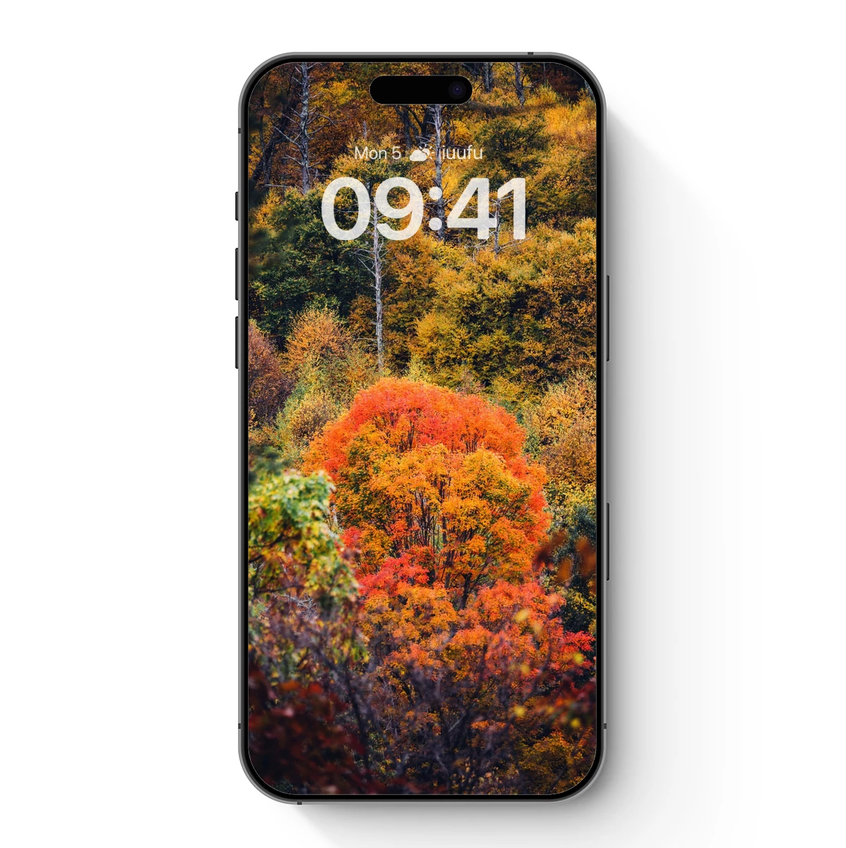 Autumn Blaze: A Symphony of Fall Colors