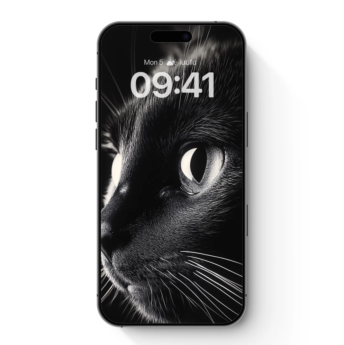 Eternal Gaze: Monochrome Cat's Mystique