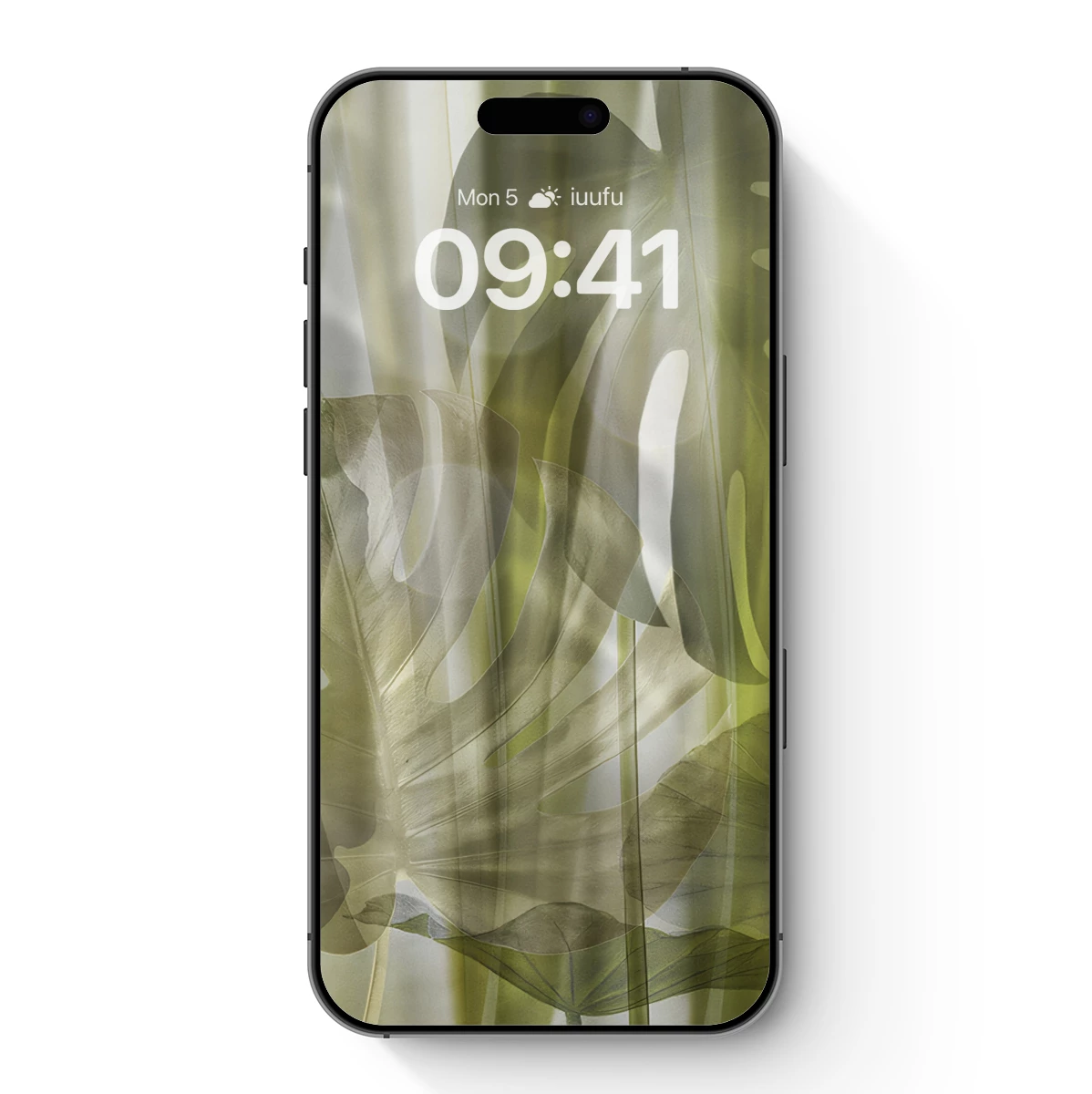 Ethereal Leaf Silhouettes in Soft Light