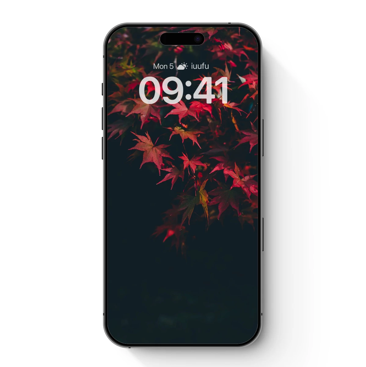 Glowing Crimson Leaves in Night's Embrace