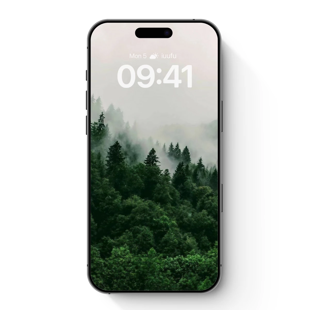 Misty Forest Canopy: A Veil of Serenity