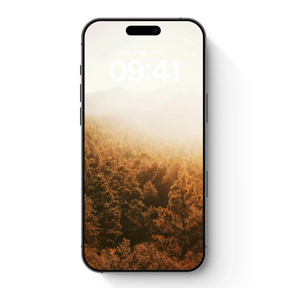 Golden Forest Whisper: Sunlit Canopy Majesty