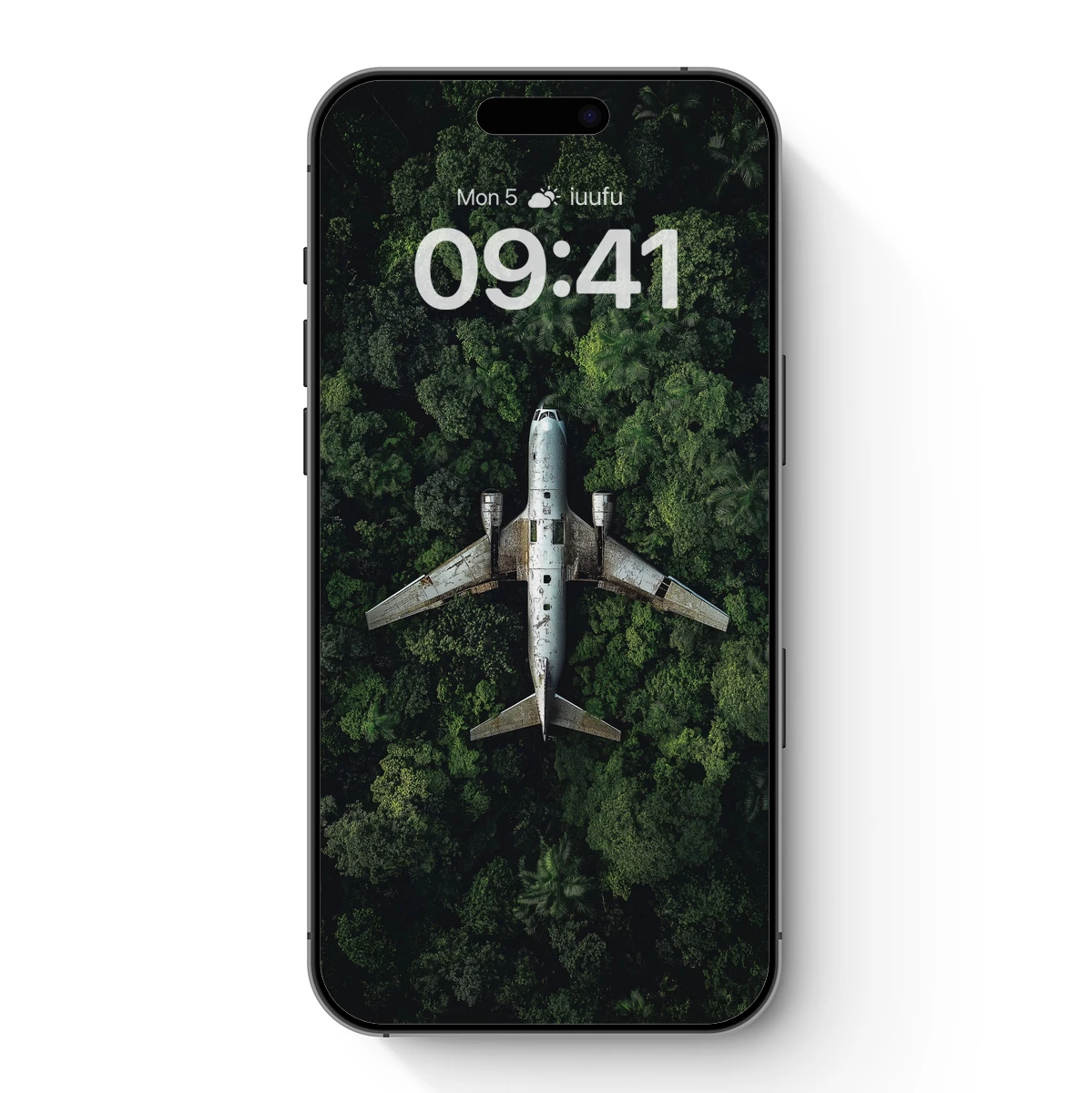 Abandoned Airliner in Verdant Jungle