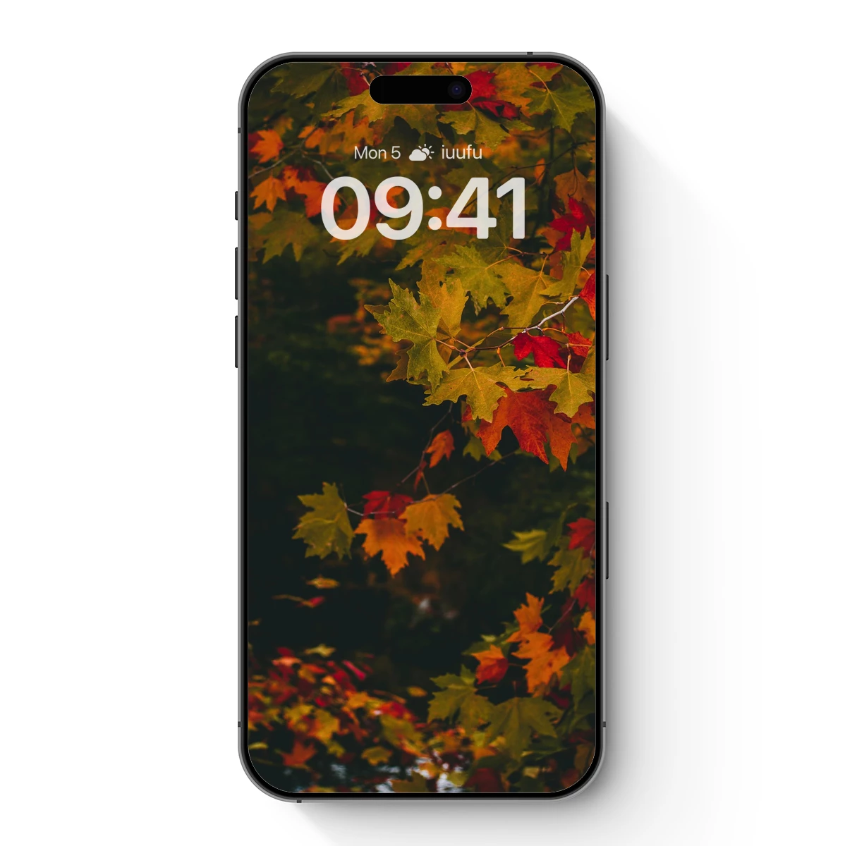 Autumn's Palette: Vibrant Maple Leaves