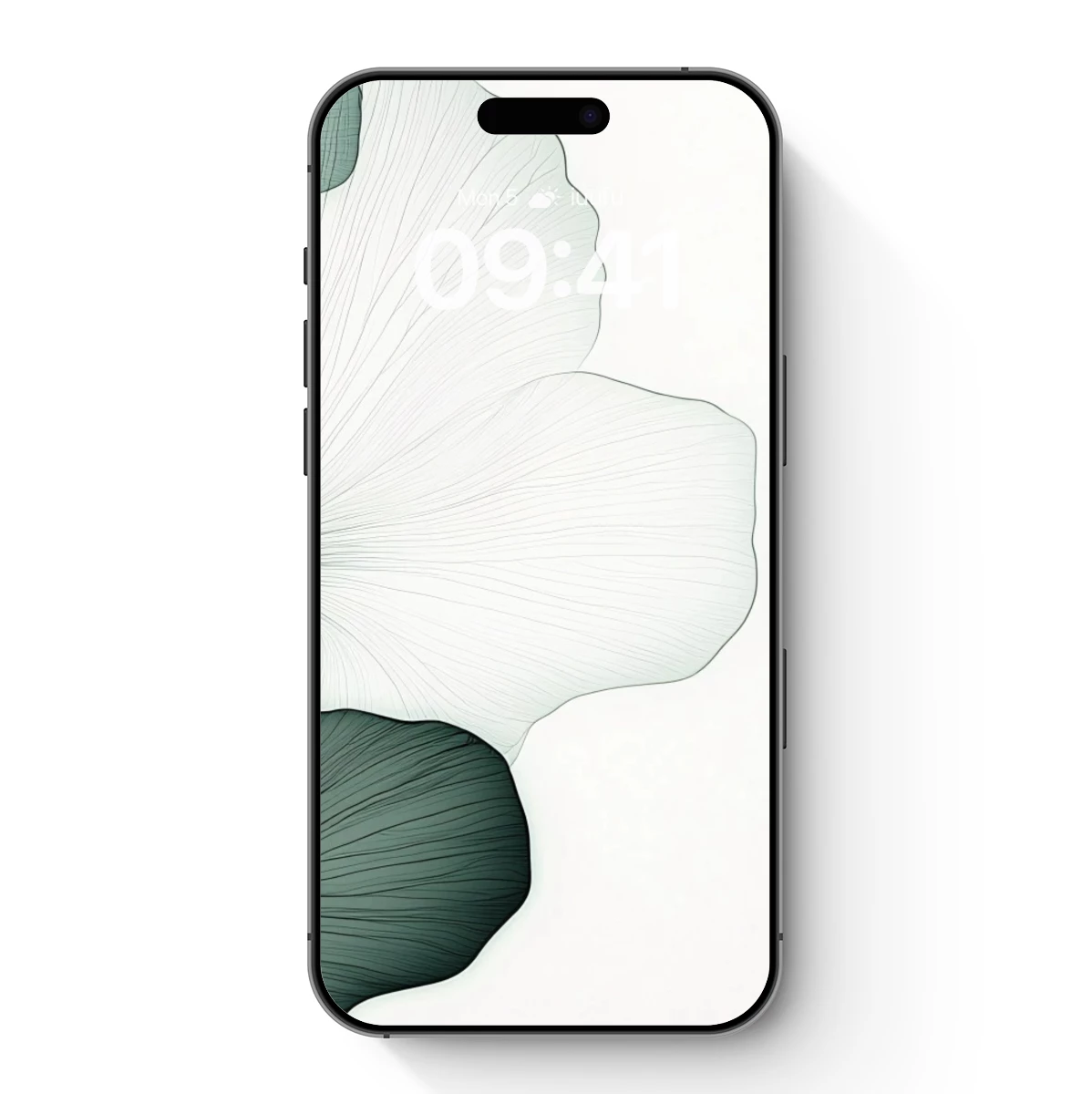 Ethereal Ginkgo Whispers: Monochrome Botanical Art