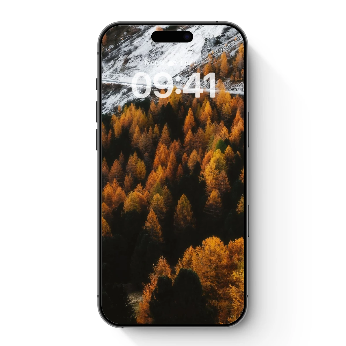 Golden Autumn Forest Under Snowy Peaks