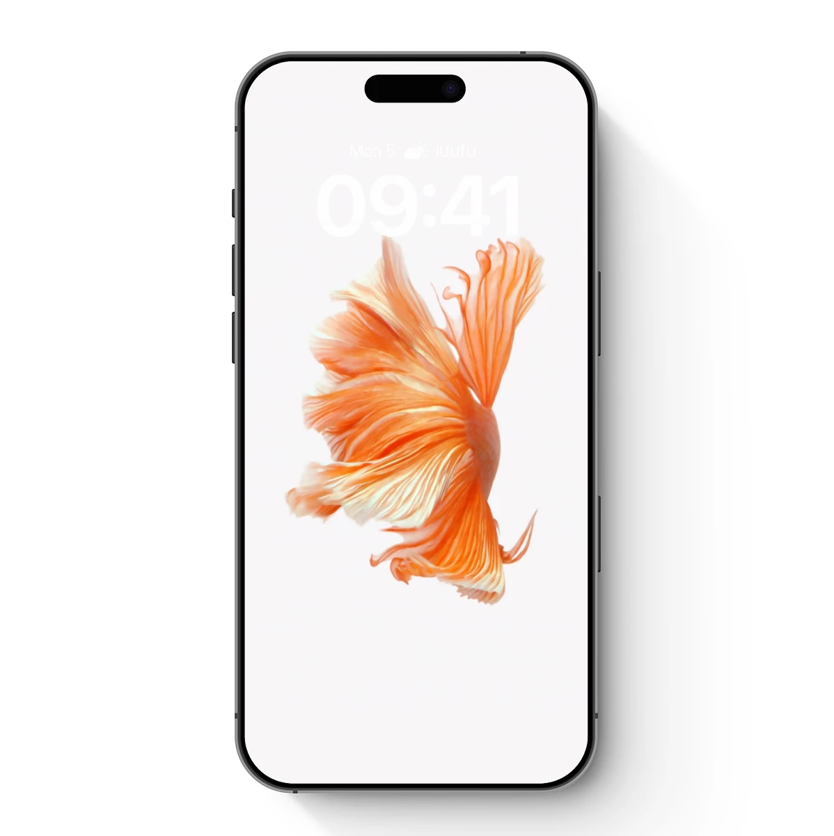 Elegant Orange Betta: Fluid Grace in Motion