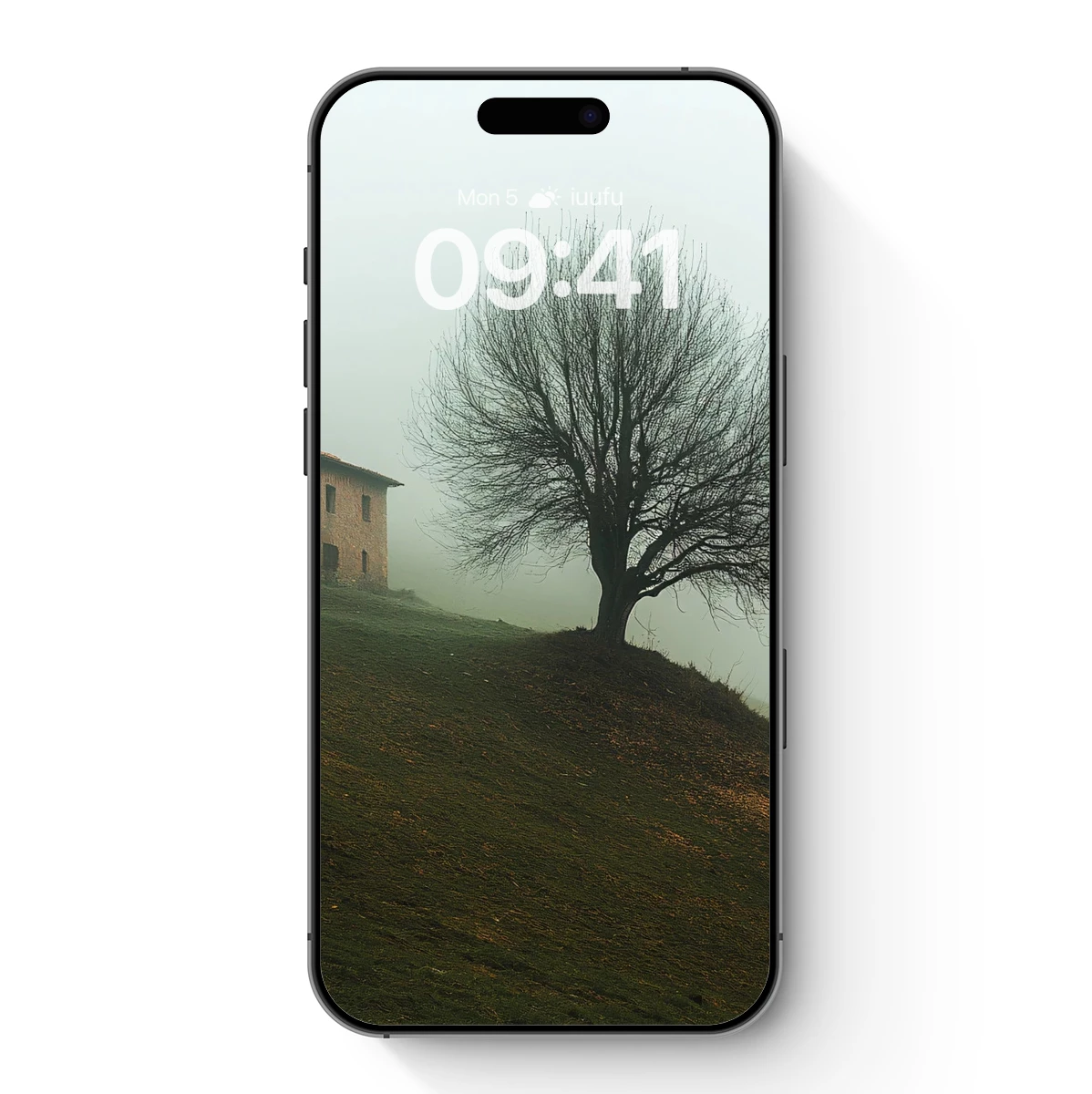 Foggy Solitude: Lone Tree and Abandoned House Foggy Solitude: Lone Tree and Abandoned House