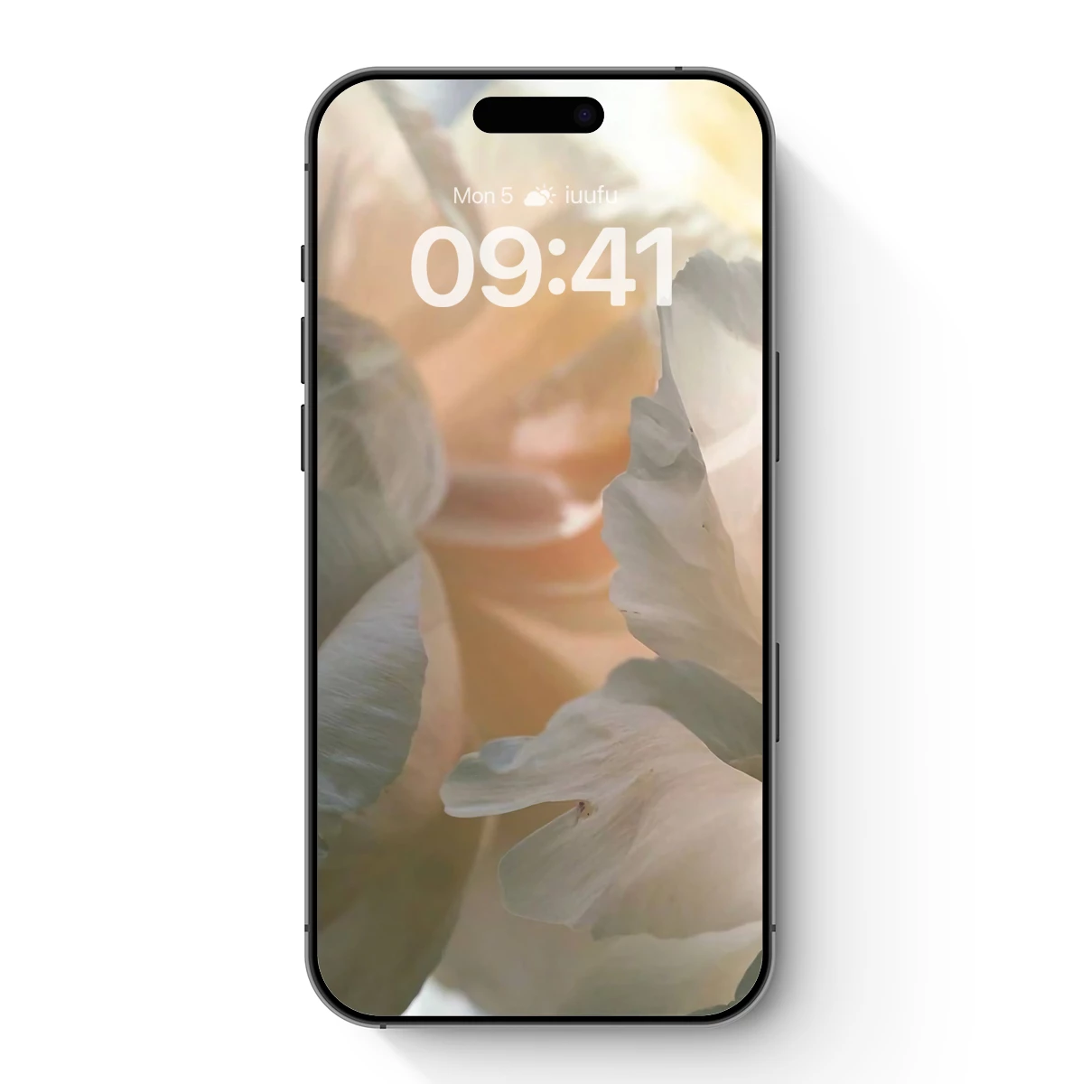 Ethereal Petals: Soft White Blossoms in Dreamy Focus