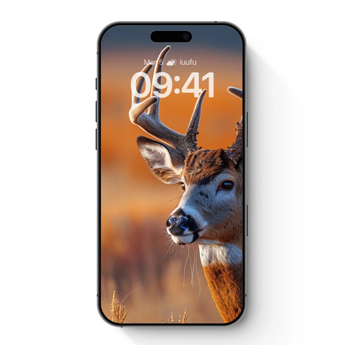 Golden Hour Majesty: A Whitetail Deer’s Glory Golden Hour Majesty: A Whitetail Deer's Glory
