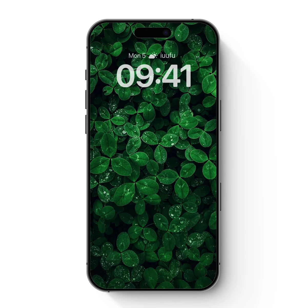 Dew-Kissed Clover Canopy