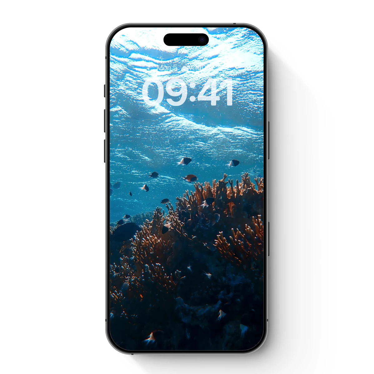 Coral Reef Symphony: Underwater Life Vibrance