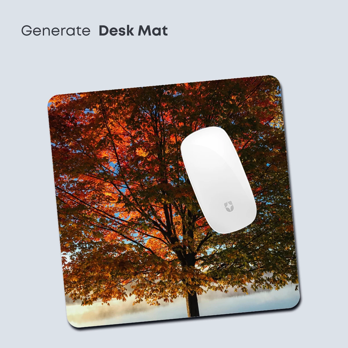 Autumn Blaze: A Tree's Symphony in Sunset Hues - Image 4