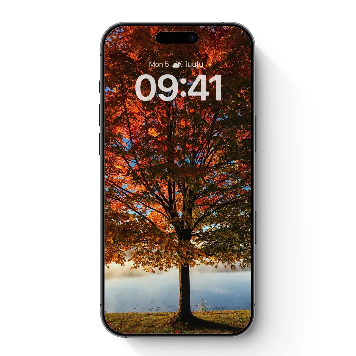 Autumn Blaze: A Tree's Symphony in Sunset Hues