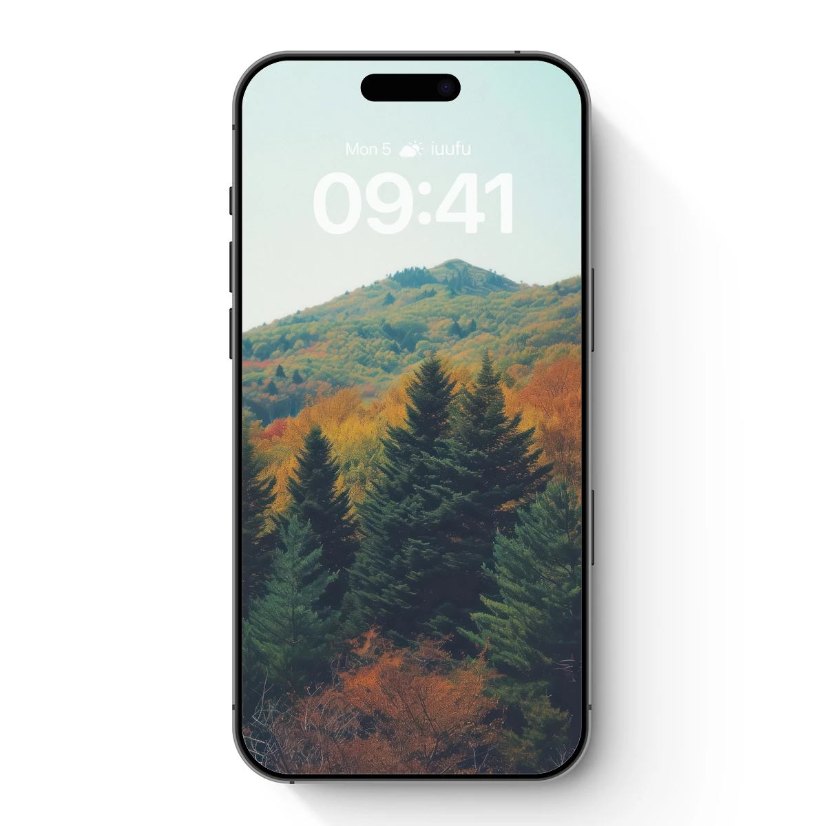 Autumn’s Embrace: Pine Forest Meets Golden Hills Autumn's Embrace: Pine Forest Meets Golden Hills