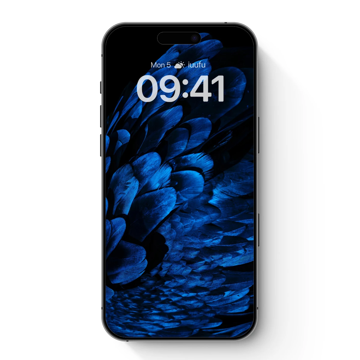 Ethereal Midnight Feathers