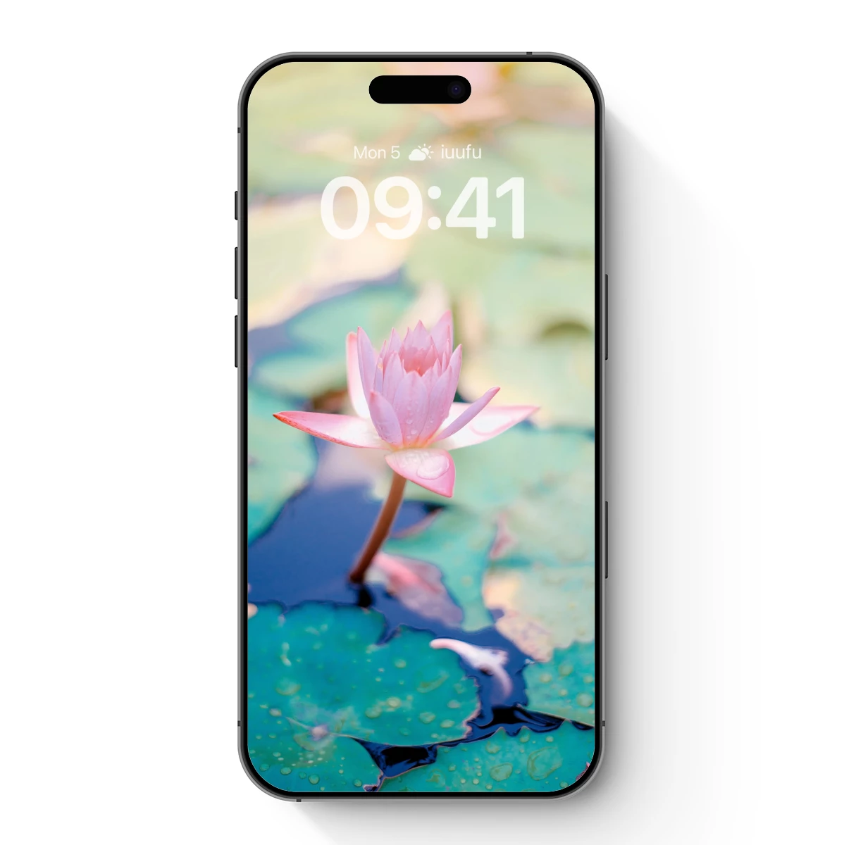 Delicate Lotus Bloom: Serene Water Garden Elegance Delicate Lotus Bloom: Serene Water Garden Elegance