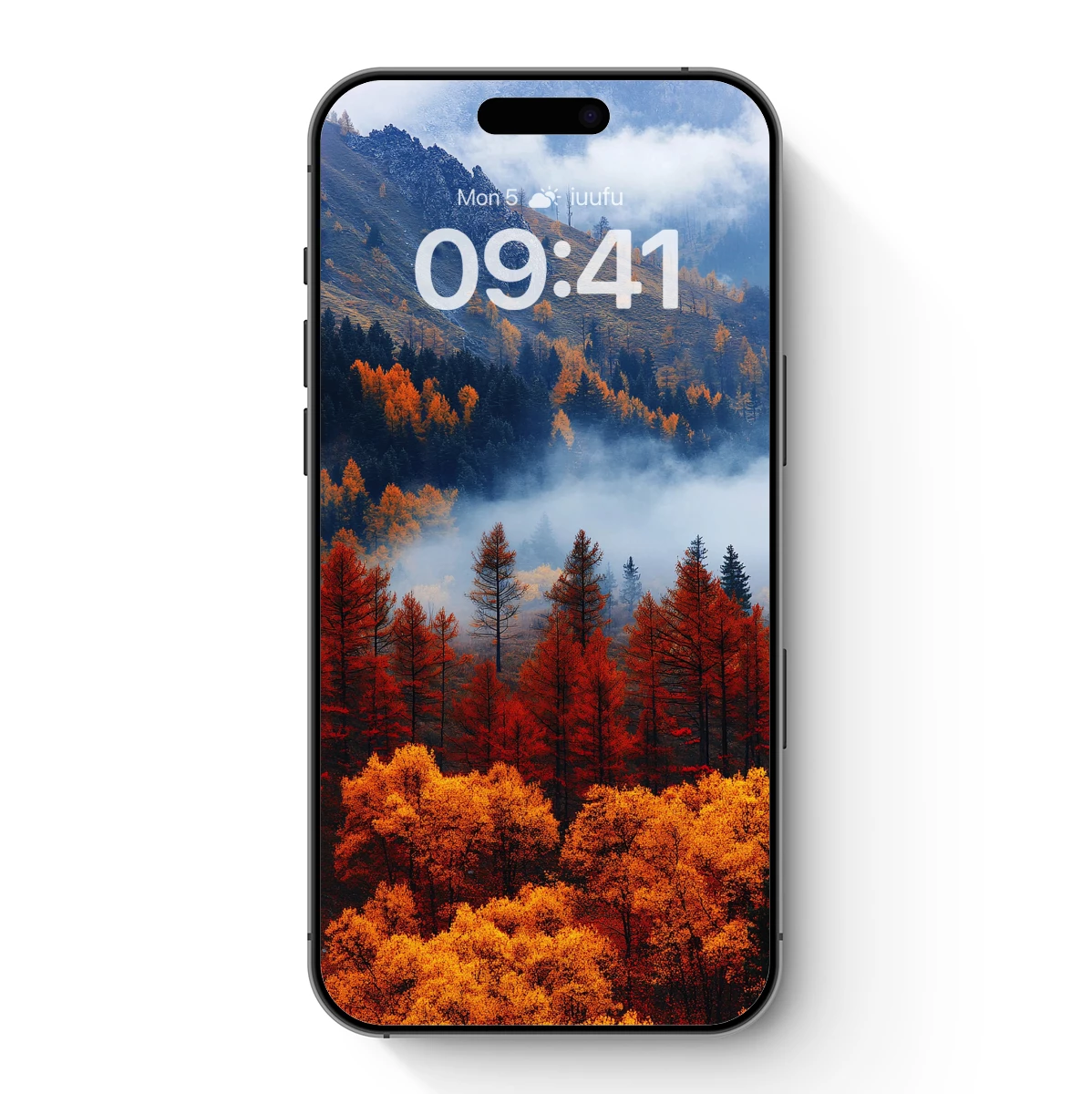 Autumn Mist Over Golden Forest