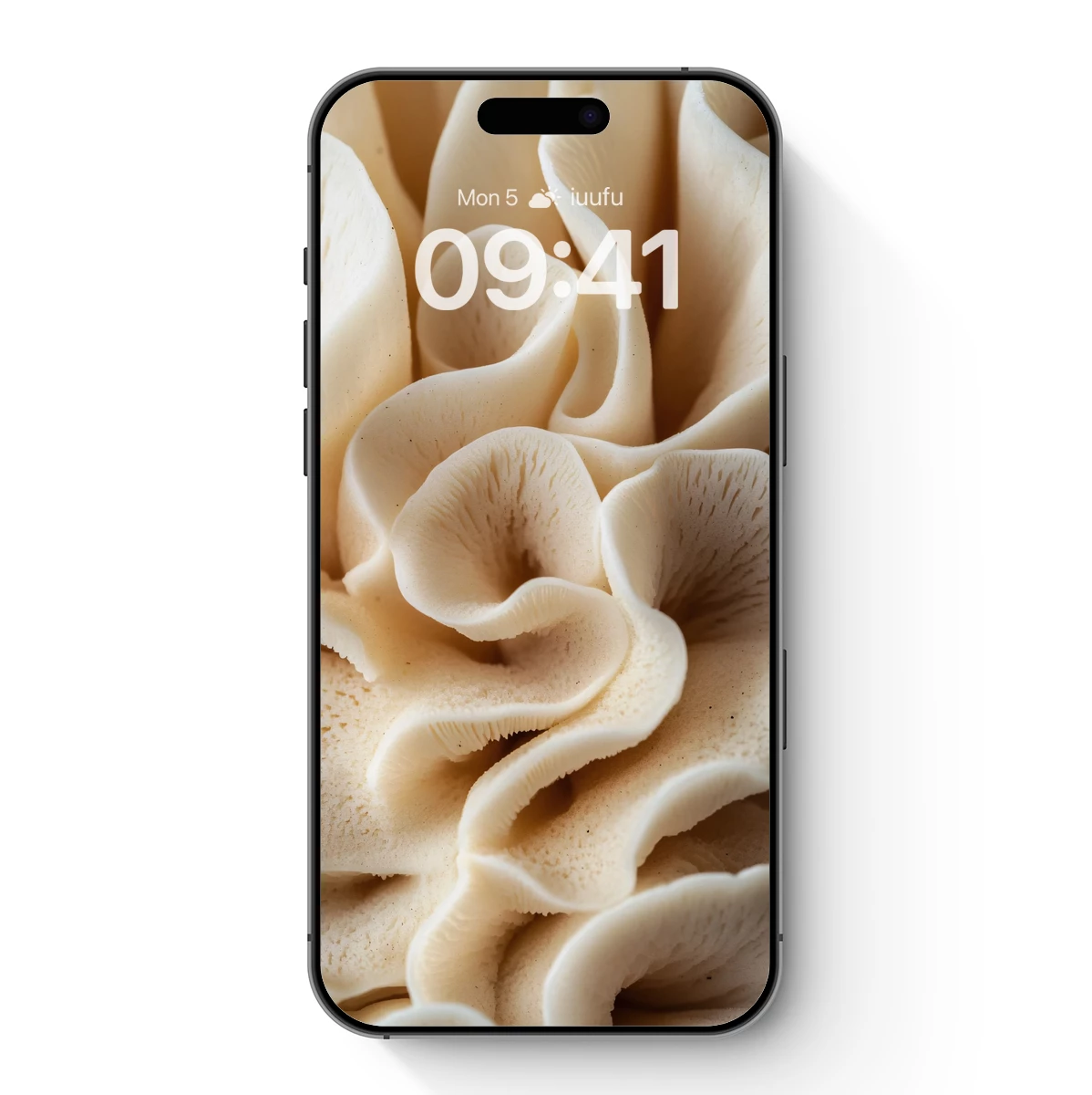 Elegant Oyster Mushroom Cascade