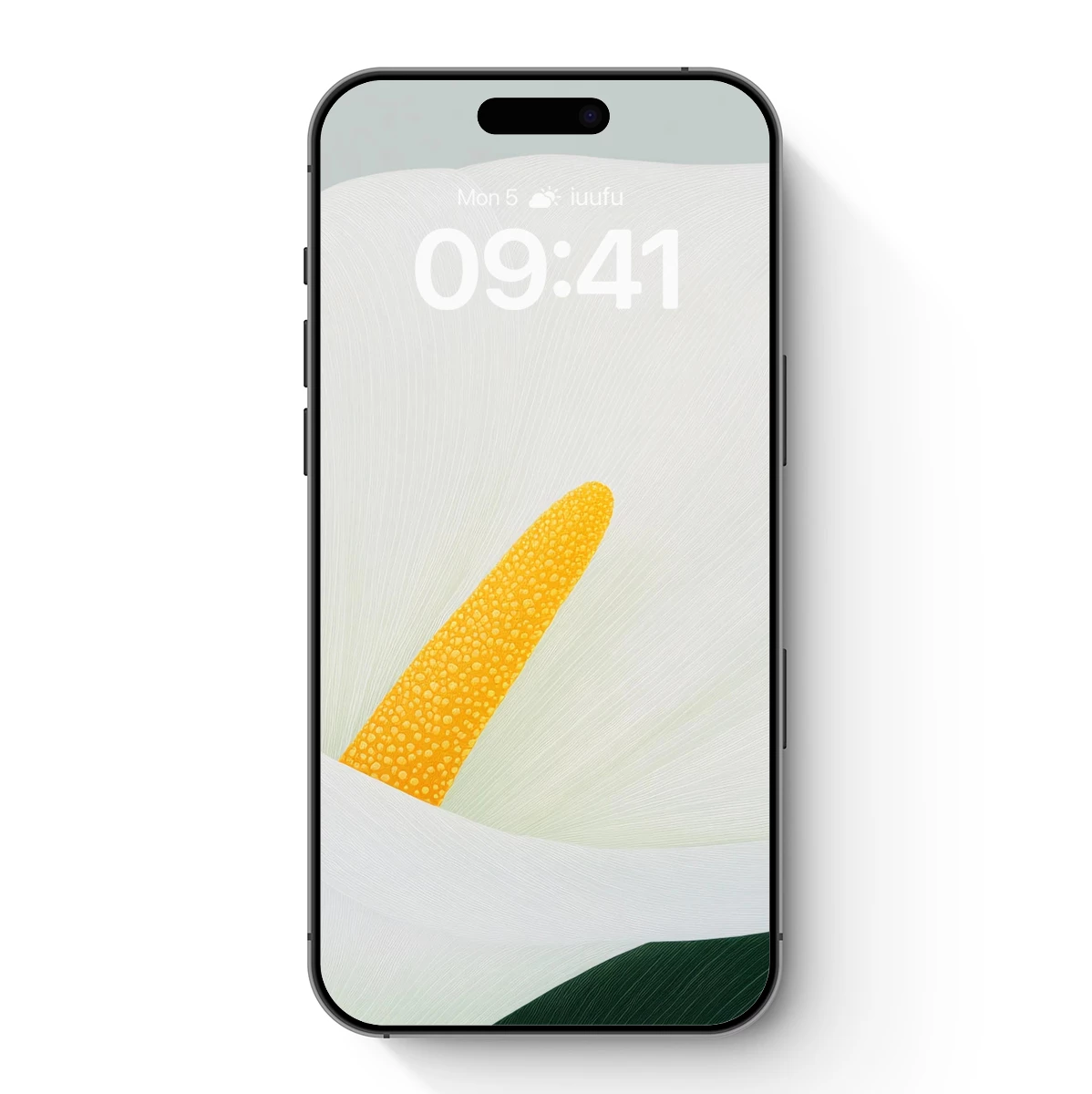 Elegant Calla Lily: A Botanical Masterpiece in Bloom