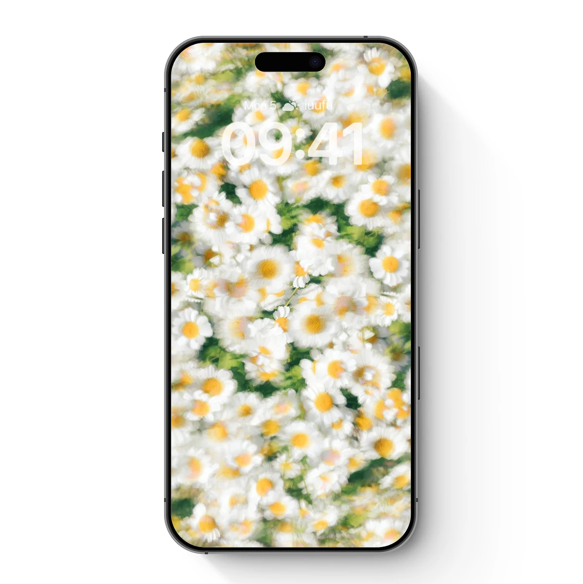 Daisy Dreamland: Soft Focus Floral Bliss