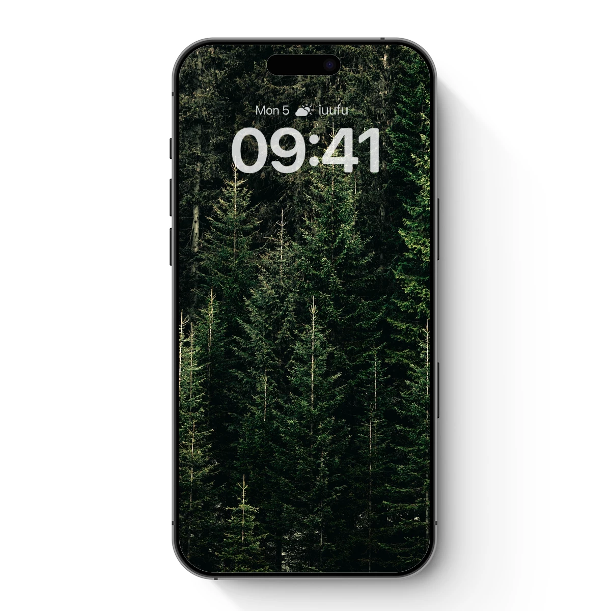 Eternal Forest Canopy: A Verdant Symphony