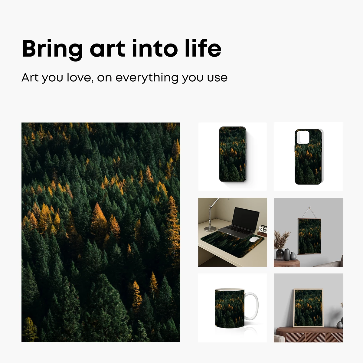 Autumn's Embrace: Golden Pines Amidst Evergreens - Image 2