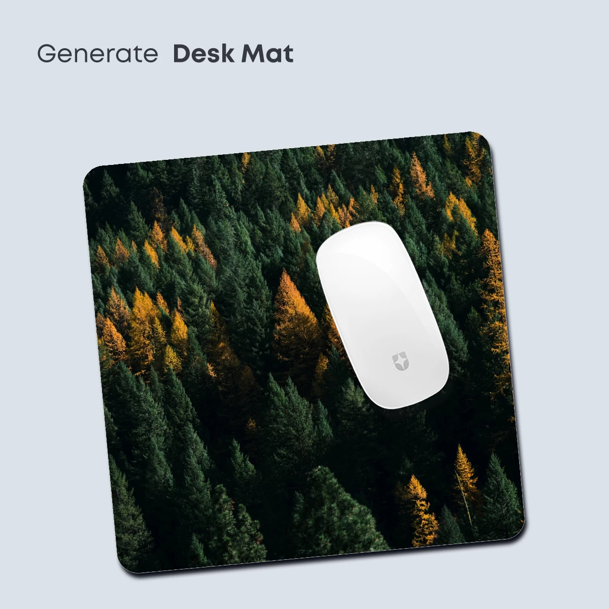 Autumn's Embrace: Golden Pines Amidst Evergreens - Image 4