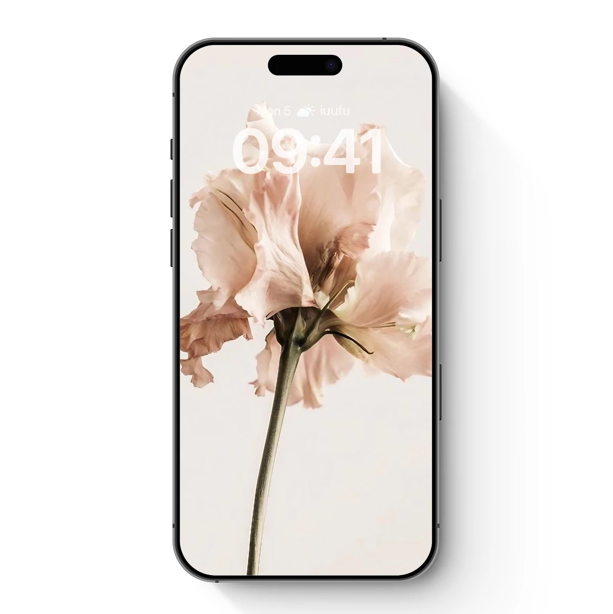 Ethereal Pink Blossom: Delicate Petals in Soft Focus