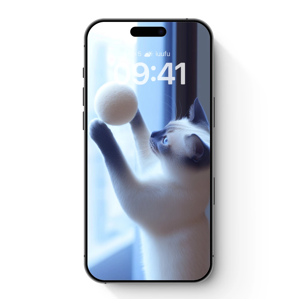 Feline Grace: Playful Paws and Soft Spheres