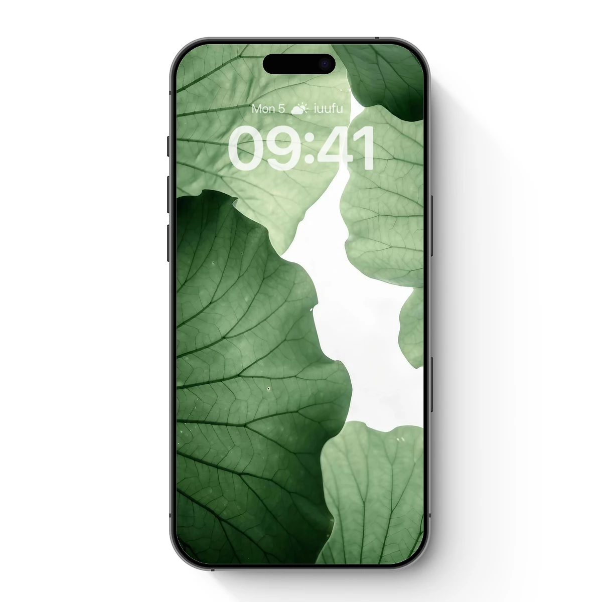 Ethereal Leaf Canopy: Nature's Abstract Embrace